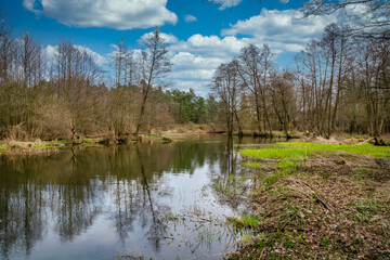 Fototapeta na wymiar Fishing on the small river Grabia in the center of Poland. 