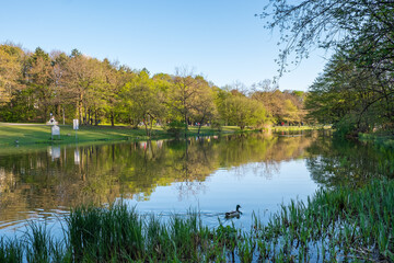 Fototapeta na wymiar Mollsee im Westpark München im Frühling mit Menschen und Ente 