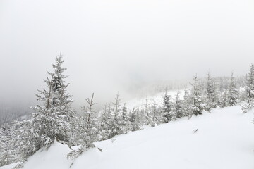 Beautiful winter landscape with snow covered trees in Czech Republic