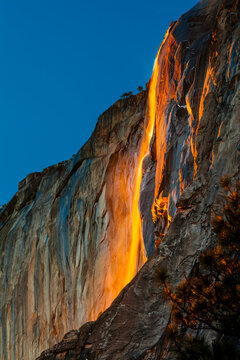 Yosemite National Park. Horsetail Falls lit from behind by the setting sun, creating the famed Firefall.