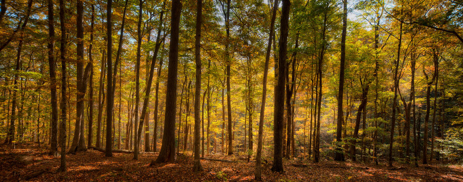 Natchez Trace Parkway, Tennessee and Mississippi, USA