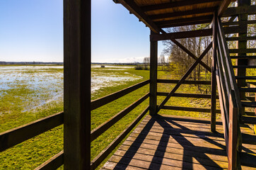 Early spring panoramic view of Narew river valley wetlands and nature reserve and viewing platform in Zajki village near Wizna in Podlaskie voivodship in Poland - obrazy, fototapety, plakaty