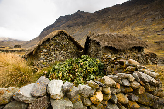 Stone is the standard building material used to make walls and animal corrals in Bolivia's Apolobamba Range of the Andes.