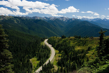 Hurricane Ridge Olympic National Park