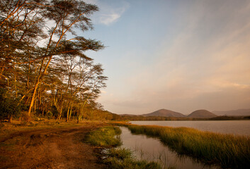A lakeside image in Kenya, Africa.