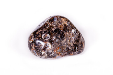 Macro mineral agate fossil fossilized with fossilized turtles on white background © Minakryn Ruslan 