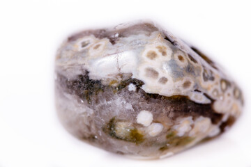 Macro mineral stone Jasper oceanic on a white background