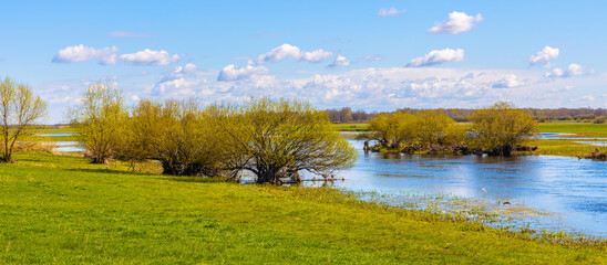 Early spring view of Biebrza river valley wetlands and nature reserve in Wierciszewo village in Podlaskie voivodship in Poland