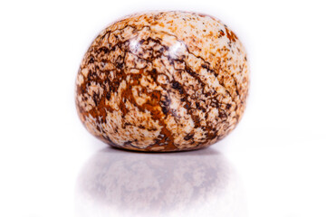 Macro mineral rock jasper landscape sandy on white background