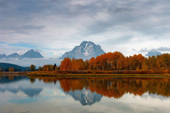 fall colors and mount Moran at oxbow bend on the snake river in grand teton national park