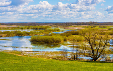Early spring panoramic view of Biebrza river valley wetlands and nature reserve landscape in Burzyn village in Podlaskie voivodship in Poland - obrazy, fototapety, plakaty