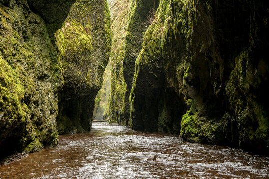 The striking beauty of the Oneonta Gorge slot canyon in the Columbia River Gorge outside of Portland Oregon.