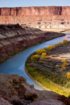 Labyrinth Canyon on the Green River during the peak Autumn colors as seen from the White Rim Trail in Canyonlands National Park, Utah.