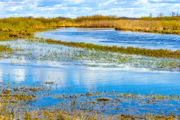 Early spring panoramic view of Biebrza river valley wetlands and nature reserve landscape in Burzyn...
