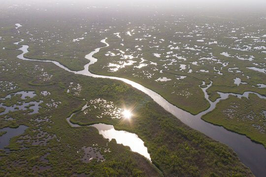 Waterways and creeks photographed from a helicopter in Everglades National Park, Florida.