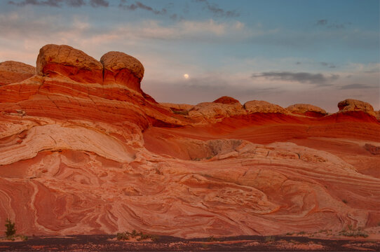 Paria Canyon-Vermilion Cliffs Wilderness: Whitepocket