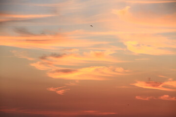 Fototapeta premium sunset over the sea 