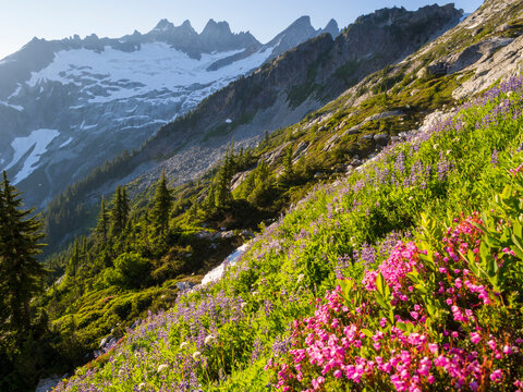 The Southern Pickets from Terror Basin, North Cascades National Park, Washington.