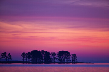 Scenic of trees and water at dawn on a peninsula against a the pink and purple sky just before sunrise in Chesapeake Bay, Tighlman Island, MD.