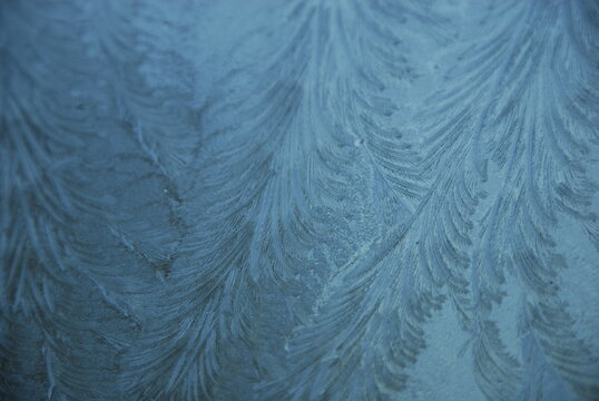 Frost patterns adorn the house window, Portland, Maine