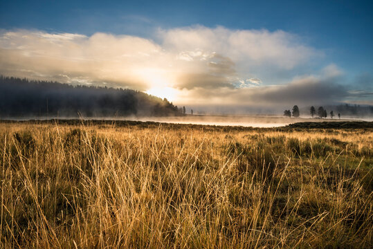 Golden morning light on the Yellowstone River in the Hayden Valley, Yellowstone National Park.