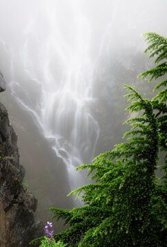 Edith Creek, Paradise Park, Cascade Range, Mount Rainier National Park