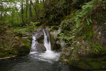 waterfall stream in the forest in Tuscany, on early spring