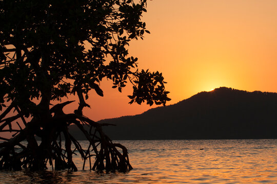 Sunset behind Cayo Mayor in the Pig Keys, Honduras.