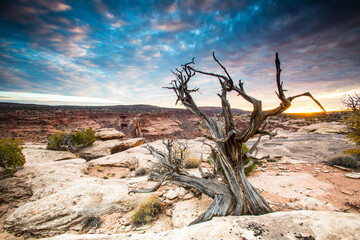 Sunset at remote canyon on public land in Utah.