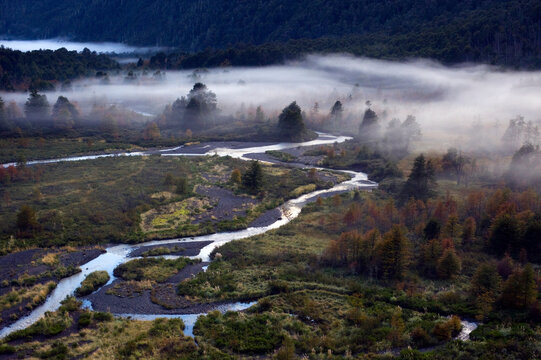 Fog drifts over the Paso de las Nubes in Nahuel Haupi National Park in Patagonia, Argentina.