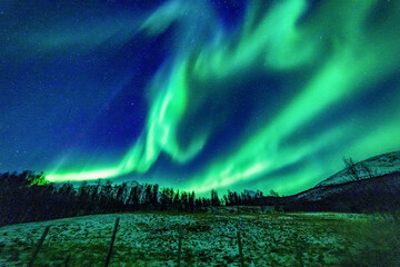 Nordlichter in Troms, Nordnorwegen. tanzende Aurora Borealis in grün, pink und weiss. wundervolles...