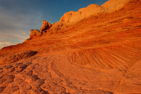 Paria Canyon-Vermilion Cliffs Wilderness: Whitepocket
