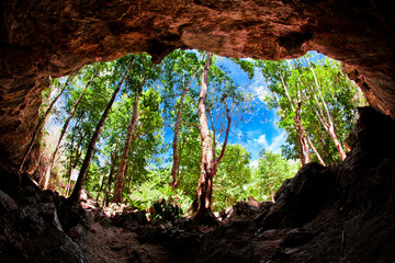 This is a view of one of the eyes of cenote Dos Ojos.