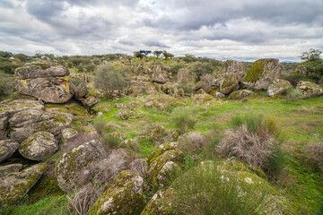 Cornalvo Natural Park, Extremadura, Spain