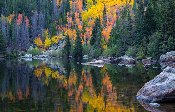 The calm waters Bear Lake, in Rocky Mountain National Park, on a fall morning add a splash of color on an otherwise cloudy morning.