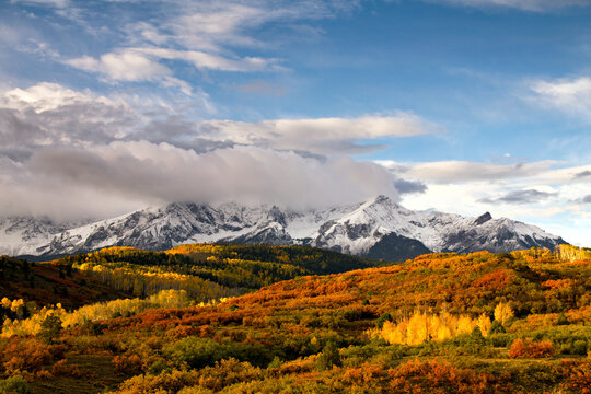 The rising sun lights up the changing leaves of aspen and scrub brush below the Mt. Sneffels range near Ridgway, Colorado