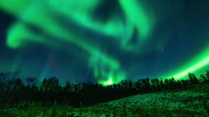 Nordlichter in Troms, Nordnorwegen. tanzende Aurora Borealis in grün, pink und weiss. wundervolles Naturerlebnis im hohen Norden in einer klaren und kalten Winternacht in den Lyngenalps.