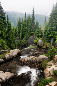 Edith Creek, Paradise Park, Cascade Range, Mount Rainier National Park