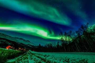 Nordlichter in Troms, Nordnorwegen. tanzende Aurora Borealis in grün, pink und weiss. wundervolles Naturerlebnis im hohen Norden in einer klaren und kalten Winternacht in den Lyngenalps.