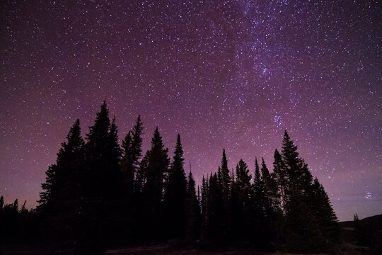 The Milky Way Galaxy extends out from a cluster of trees in the Bighorn Mountains of Wyoming.