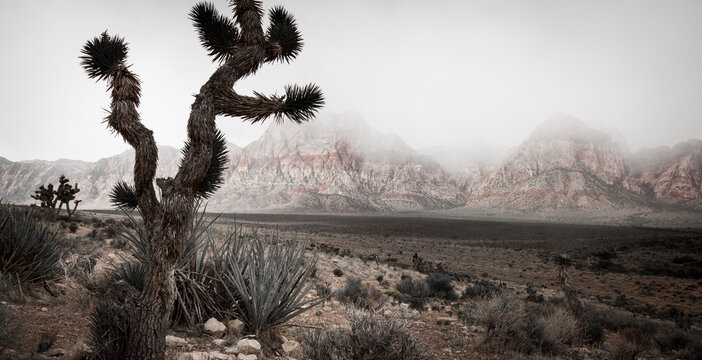 A spring storm looms over Calico Canyon in Red Rock Conservation Area - Las Vegas, Nevada