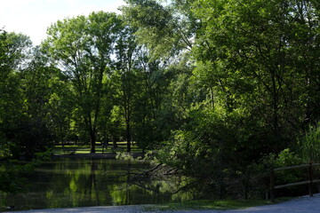 City park in spring