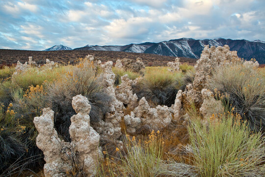Mono Lake Tufa and Eastern Sierra Nevada