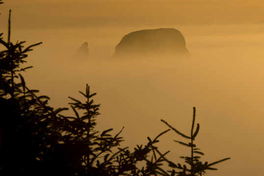 Evening fog shrouds seastacks from the bluff above Shi Shi beach near Cape Flattery, WA