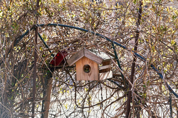 Birdhouse among the branches of bushes with spring growing leaves