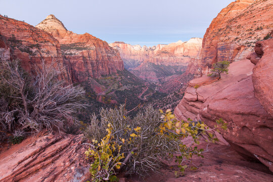 Moon set in autumn in Zion National Park, Utah, USA