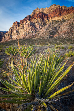 Sunrise hits Red Rock National Conservation Area near Las Vegas, Nevada