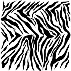 Fototapeta na wymiar Abstract geometric pattern on the skin of a tiger