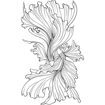 recommend clip art: Two Siamese fighter fish line art