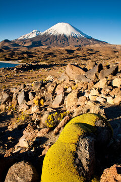 The twin volcanoes of Pomerape (L) in Bolivia's Sajama Nat Park and Parinacota (R) in Lauca Nat Park in northern Chile at sunset.